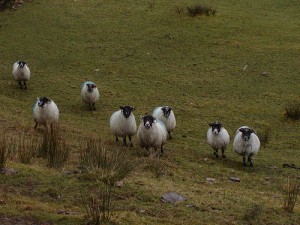 They're watching you ...